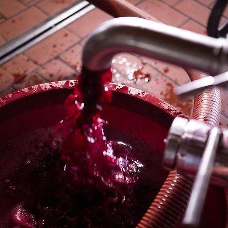 Vila I Dolci Grappoli Larino Exteriér fotografie